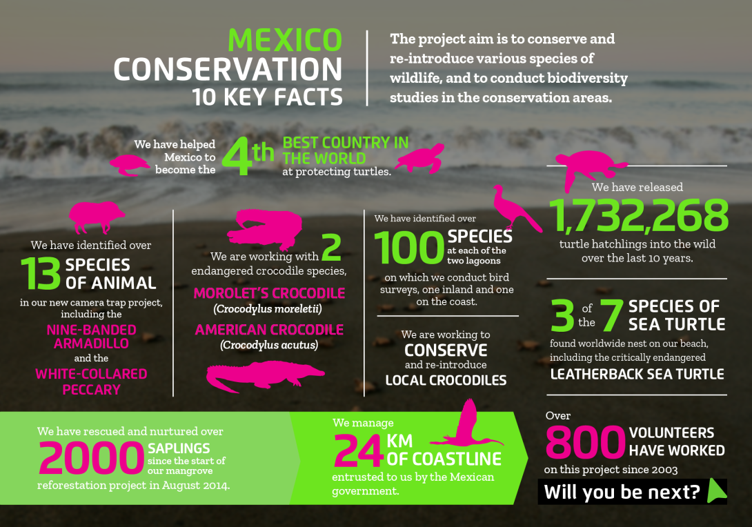 The impact you will make on the conservation volunteer project in Mexico with projects abroad Interesting facts about conservation volunteering in Mexico with projects abroad